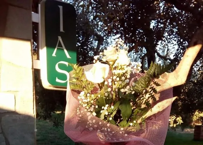Vigla Ias