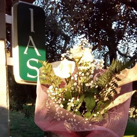 Vigla Ias