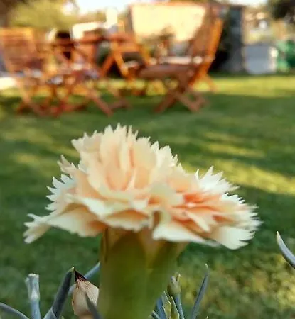 Vigla Ias Πανσιόν 4*