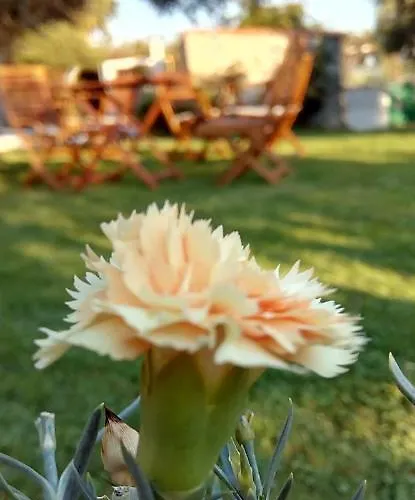 Vigla Ias Casa de hóspedes 4*